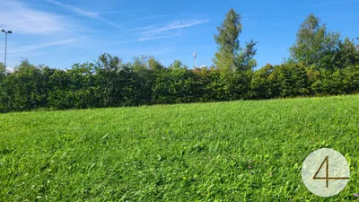 Grundstück kaufen in Schärding – 1 135 m², € 68.100 – Bild 3 von 6