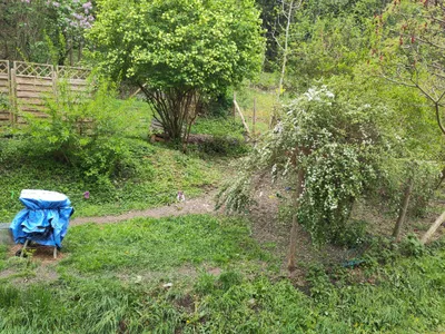 2-Zimmer-Wohnung mieten in Neunkirchen – 80 m², € 590 – Bild 17 von 19