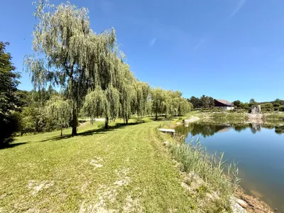 Immobilie kaufen in Schärding – 122 000 m² – Bild 18 von 19