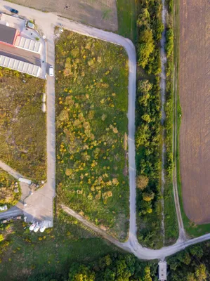 Gewerbeimmobilie kaufen in Baden – 6 768 m², € 999.999 – Bild 5 von 6