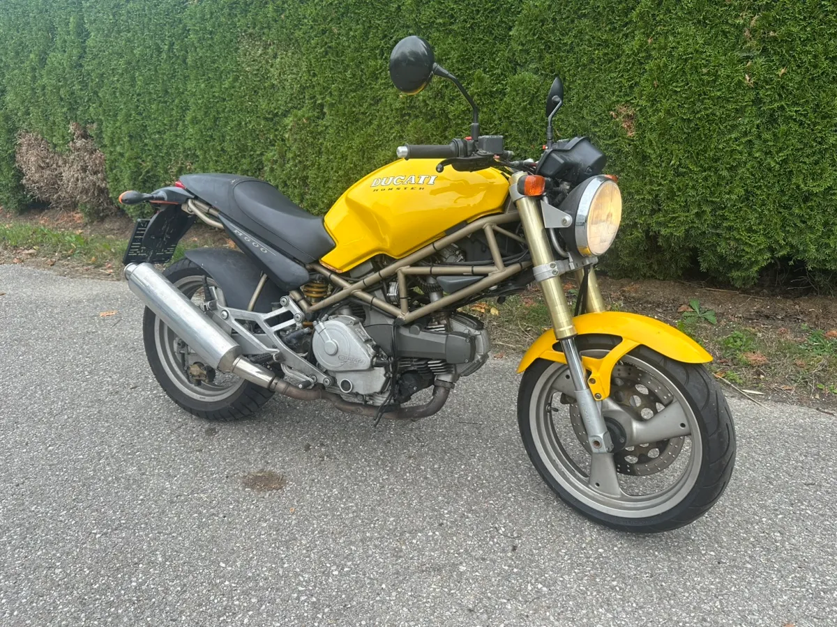 Ducati Monster