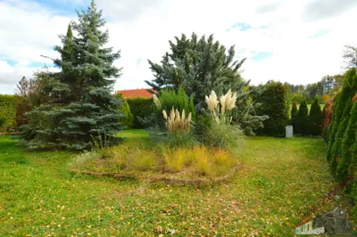 6-Zimmer-Haus kaufen in Neunkirchen – 200 m², € 849.000 – Bild 45 von 45