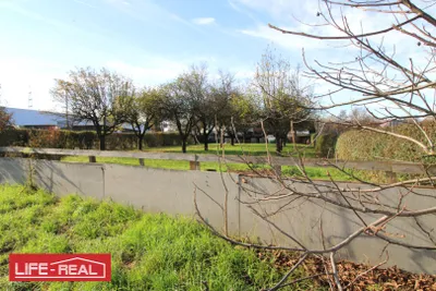 Immobilie mieten in Linz – 2 500 m² – Bild 3 von 5