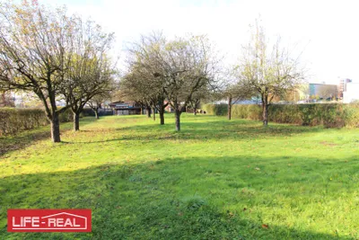 Immobilie mieten in Linz – 2 500 m²