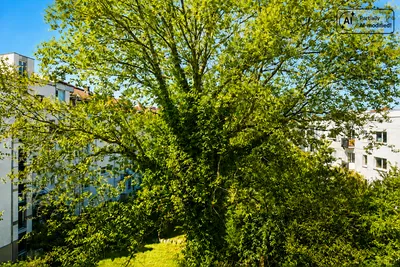 2-Zimmer-Wohnung kaufen in Graz – 70 m², € 349.000 – Bild 18 von 19