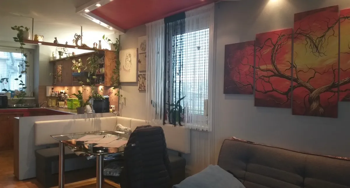 2-Zimmer Wohnung mit Balkon und Carport komplett möbliert - Ansicht 2