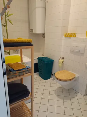 1-Zimmer-Wohnung mieten in Wels-Land – 27 m², € 550 – Bild 4 von 9