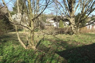 Grundstück kaufen in Tulln – 1 025 m², € 199.000 – Bild 4 von 5