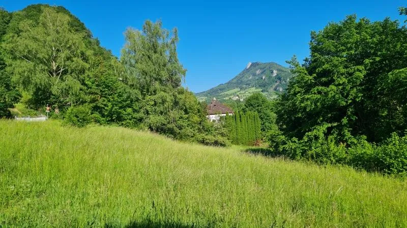 Baubewilligtes Projekt mit 32 Wohnungen im Zentrumsbereich! - Ansicht 3