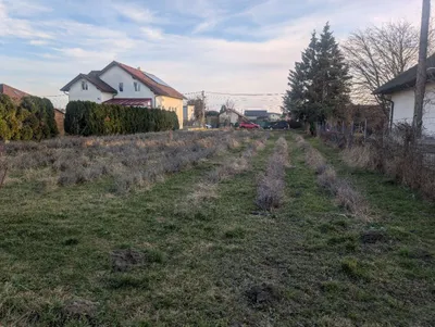 Grundstück kaufen in Wien – 1 055 m², € 1.089.000 – Bild 4 von 5