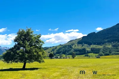 Grundstück kaufen in Zell am See – 700 m² – Bild 2 von 4