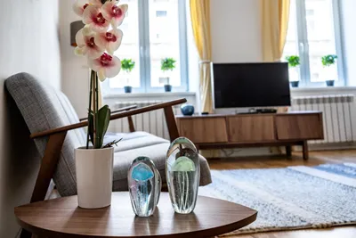2-Zimmer-Wohnung mieten in Wien – 37 m², € 1.864 – Bild 11 von 18