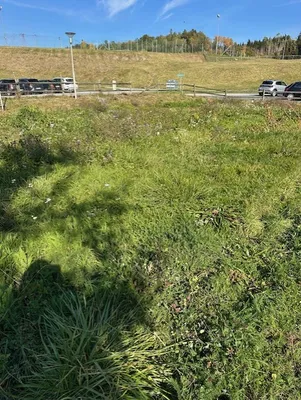 Immobilie mieten in Voitsberg – € 500 – Bild 4 von 7