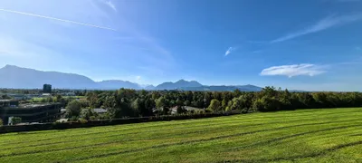 Gewerbeimmobilie kaufen in Salzburg-Umgebung – 554 m², € 4.950.000 – Bild 11 von 12