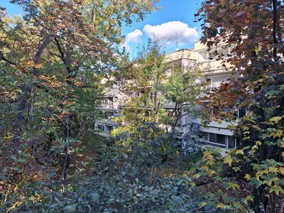 1-Zimmer-Wohnung mieten in Wien – 42 m², € 840 – Bild 6 von 9