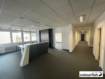 Gewerbeimmobilie mieten in Wien – 346 m², € 5.085 – Bild 3 von 14