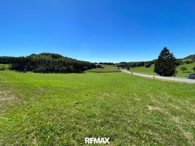Grundstück kaufen in Güssing – 3 145 m², € 88.000 – Bild 4 von 13