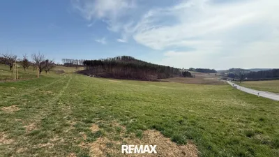Grundstück kaufen in Güssing – 3 145 m², € 88.000 – Bild 7 von 13