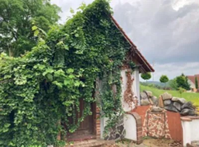 Gewerbeimmobilie kaufen in Hartberg-Fürstenfeld – 1 200 m², € 700.000 – Bild 18 von 30