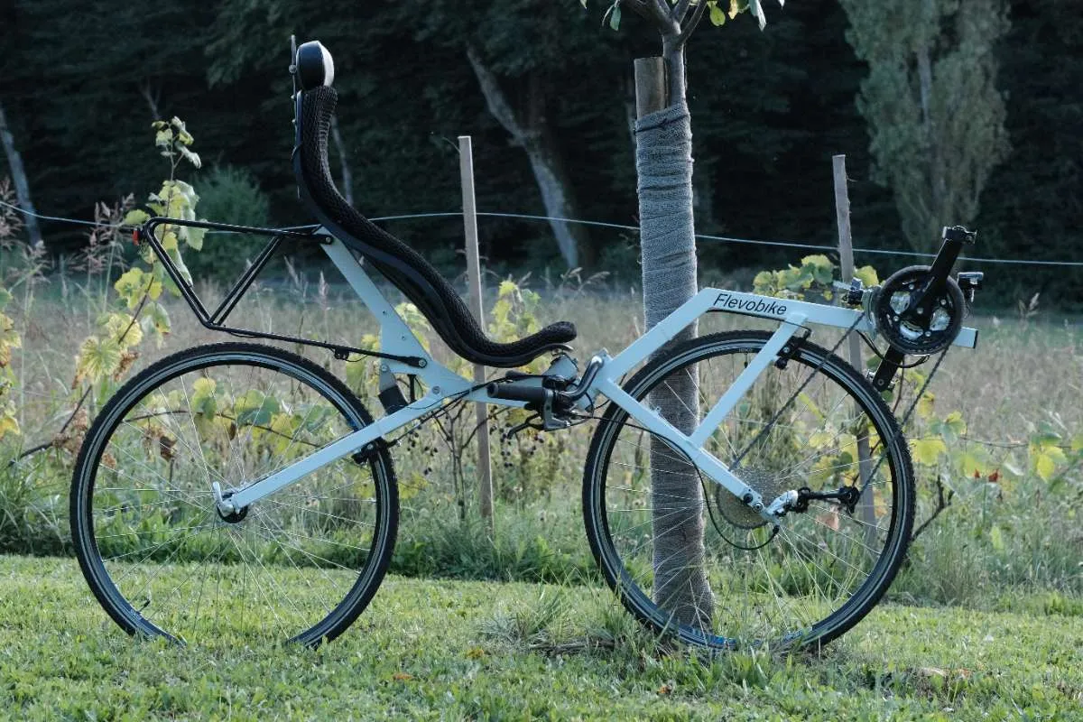 state gravel bike Carbon All-Road v2 - Sidewinder Black Medium - 54cm - ( Riders 5'8