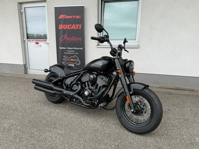 Indian Chief