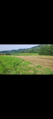 Grundstück kaufen in Leibnitz – 3 800 m², € 350.000 – Bild 2 von 3
