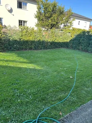 4-Zimmer-Gewerbeimmobilie mieten in Linz – 132 m², € 1.500 – Bild 5 von 6