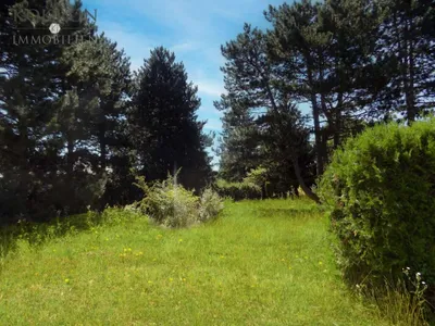 Grundstück kaufen in Gänserndorf – 1 001 m², € 339.000 – Bild 5 von 7
