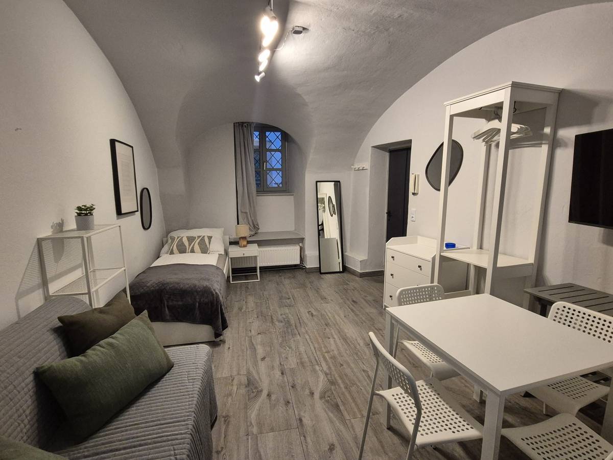 Studiowohnung im Stadtzentrum, Wien