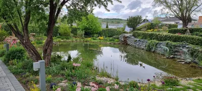 3-Zimmer-Gewerbeimmobilie kaufen in Mödling – 700 m², € 5.000.000 – Bild 11 von 15