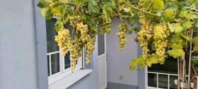 3-Zimmer-Gewerbeimmobilie kaufen in Mödling – 700 m², € 5.000.000 – Bild 14 von 15