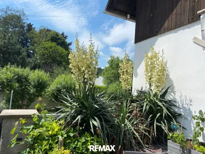 8-Zimmer-Haus kaufen in Neunkirchen – 250 m², € 349.000 – Bild 6 von 53