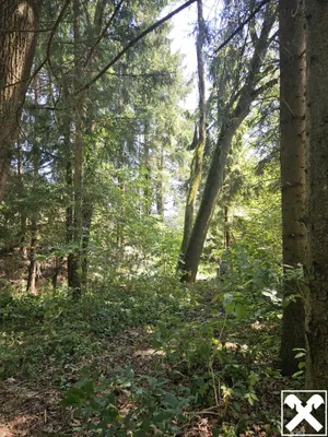 6-Zimmer-Gewerbeimmobilie kaufen in Linz – 224 m², € 695.000 – Bild 26 von 29
