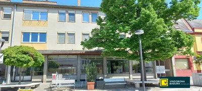 5-Zimmer-Gewerbeimmobilie kaufen in Bruck an der Leitha – 237 m², € 170.000 – Bild 2 von 11