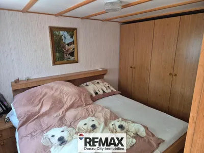 2-Zimmer-Wohnung kaufen in Eisenstadt - Umgebung – 36 m², € 44.000 – Bild 13 von 36