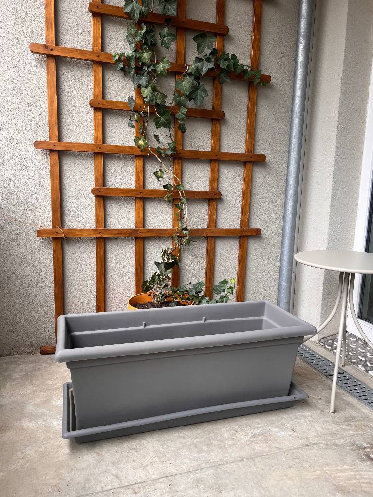 wie viele petunien in einen blumenkasten Blumensamen Balkonkasten Mischung