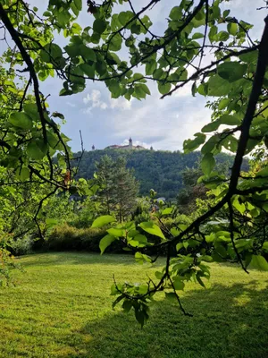 Grundstück zum Kauf in 3511 Krems Land