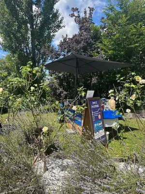 6-Zimmer-Haus kaufen in Sankt Pölten Land – 220 m², € 1.299.900 – Bild 32 von 40