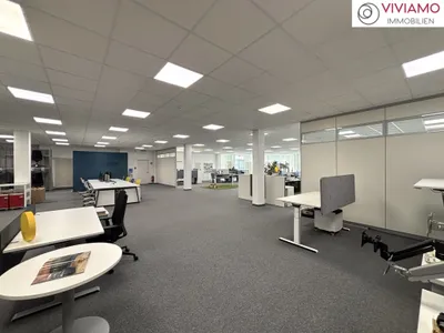 Gewerbeimmobilie mieten in Wels – 500 m², € 8 – Bild 3 von 14