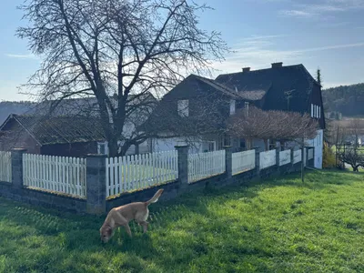14-Zimmer-Haus kaufen in Südoststeiermark – 270 m², € 385.000 – Bild 32 von 32