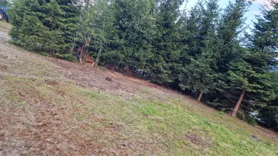 Wohnung mieten in Villach Land – 10 m², € 50 – Bild 24 von 37