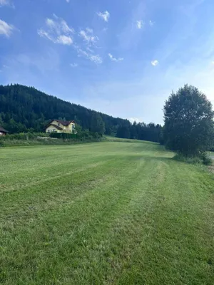 Grundstück kaufen in Leoben – 4 930 m², € 105 – Bild 3 von 4