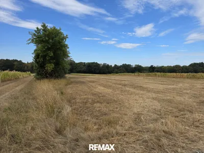 Immobilie kaufen in Güssing – 4 689 m², € 12.000 – Bild 3 von 12