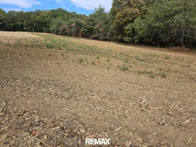 Immobilie kaufen in Güssing – 4 689 m², € 12.000