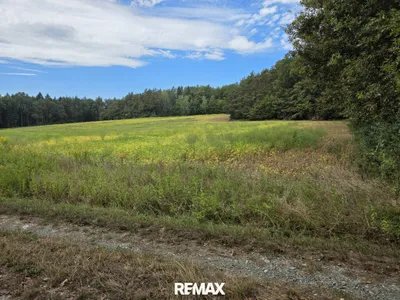 Immobilie kaufen in Güssing – 4 689 m², € 12.000 – Bild 6 von 12