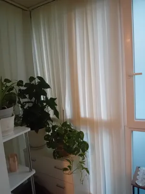 1-Zimmer-Wohnung mieten in Wien – 33 m², € 682 – Bild 2 von 6