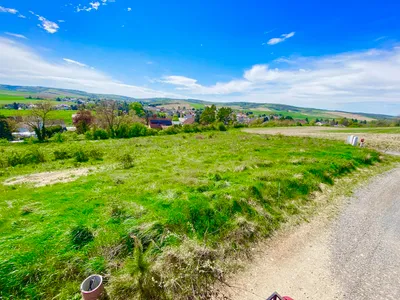 Grundstück mieten in Hollabrunn – 255 m² – Bild 4 von 8