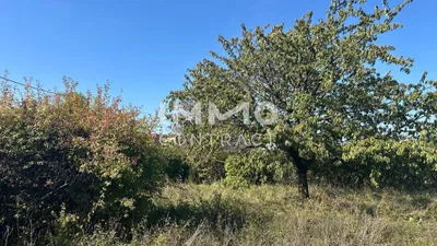 Grundstück zum Kauf in 3100 Sankt Pölten