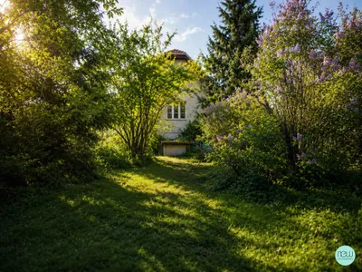 Haus kaufen in Wien – 570 m², € 420.000 – Bild 3 von 4