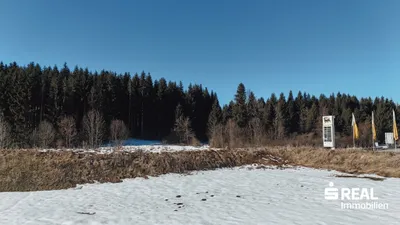 Immobilie kaufen in Reutte – 2 788 m² – Bild 14 von 27